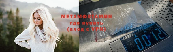прущие грибы Тобольск