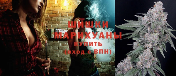 прущие грибы Туринск