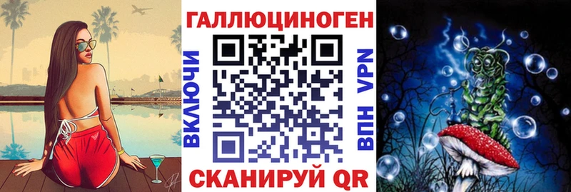 OMG как войти  Кологрив  Галлюциногенные грибы Psilocybine cubensis 